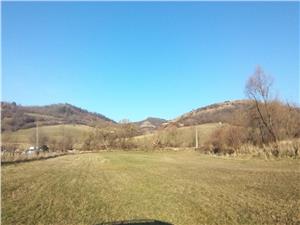 Teren de vanzare in Gusterita Sibiu