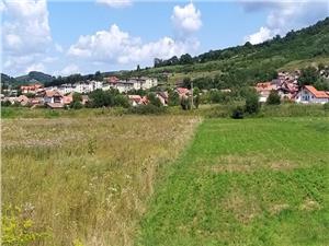 Teren de vanzare in Gusterita, Sibiu