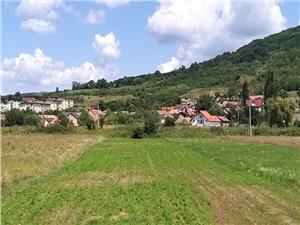 Teren de vanzare in Gusterita, Sibiu