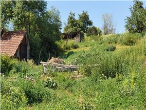 Teren pentru casa de vanzare in Nocrich pe Valea Hartibaciului