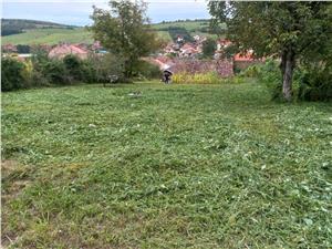 Teren pentru casa 800 mp de vanzare in Sura Mare