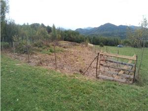Teren de vanzare in Sebesul de Sus