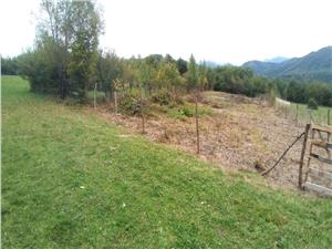 Teren de vanzare in Sebesul de Sus
