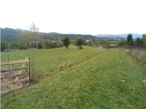 Teren de vanzare in Sebesul de Sus