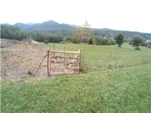 Teren de vanzare in Sebesul de Sus