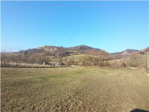 Teren de vanzare in Gusterita Sibiu