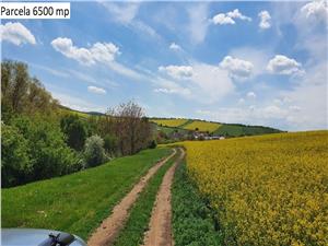 Teren de vanzare in Hamba Sibiu