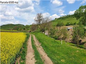 Teren agricol de vanzare in Hamba Sibiu, 4 parcele