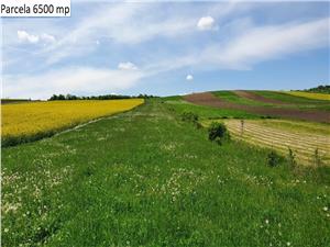 Teren agricol de vanzare in Hamba Sibiu, 4 parcele