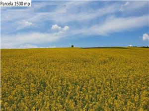 Teren agricol de vanzare in Hamba Sibiu, 4 parcele