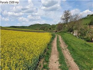 Teren agricol de vanzare in Hamba Sibiu, 4 parcele