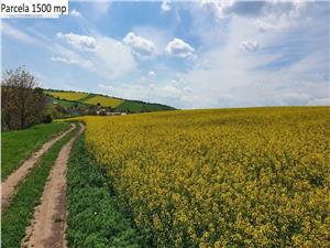 Teren agricol de vanzare in Hamba Sibiu, 4 parcele