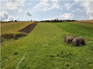 Teren intravilan de vanzare in Sura Mare Sibiu