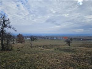 Teren 5000 mp la Bradu