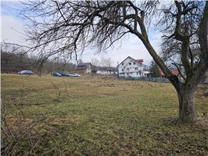 Teren 5000 mp la Bradu