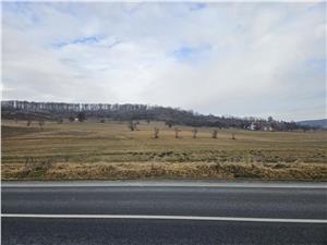 Teren 5000 mp la Bradu