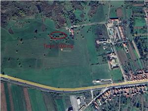 Teren 5000 mp la Bradu