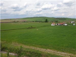 Teren de vanzare langa autostrada Sibiu