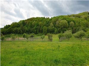 Teren de 6600 mp de vanzare la Sibiel