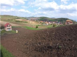 Teren de vanzare in Sura Mare Sibiu
