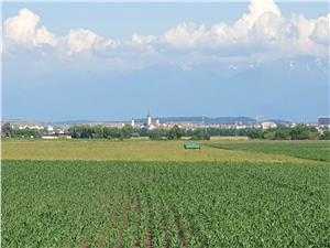 Teren 9300 mp de vanzare in Sibiu zona calea Surii Mici   Autostrada