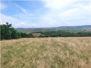 Teren 7000 mp la Drotleff cu panorama orasului Sibiu