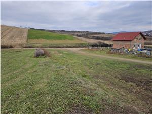 Teren intravilan pentru casa la Sura Mare