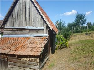 Casa de vanzare in Hasag Sibiu