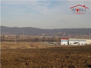 Teren de vanzare in Parcul industrial Selimbar