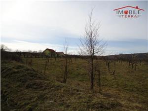 Teren pentru case si vile, in satul de vacanta Daia Noua Sibiu